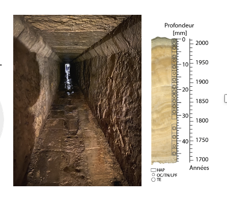 Urbanization and water quality: limestone encrustation of the Grand Aqueduc de Belleville reveals 300 years of history.