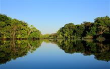La forêt amazonienne un peu moins vulnérable au changement climatique que prévu