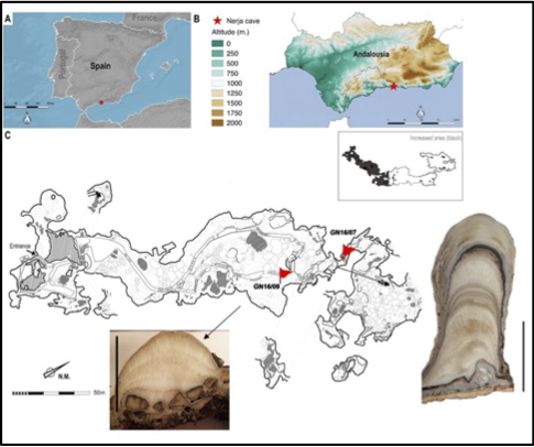 Les datations en grotte perturbées par des transformations minéralogiques: étude de stalagmites de la grotte de Nerja. 