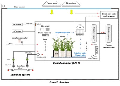 Determination of respiration and photosynthesis fractionation factors for atmospheric dioxygen inferred from a vegetation–soil–atmosphere analogue of the terrestrial biosphere in closed chambers