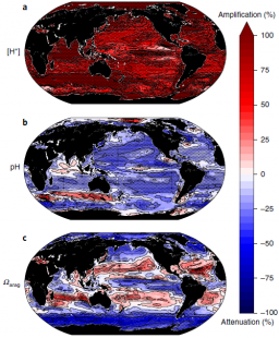 Acidité des océans :  amplification des extrêmes saisonniers