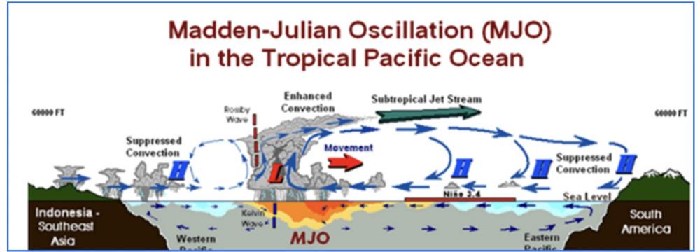 Going Beyond Models: A Statistical Method for Predicting the Madden Julian Oscillation