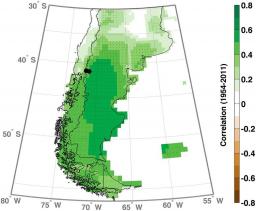 Are the oxygen isotopic composition of Fitzroya cupressoides and Nothofagus pumilio cellulose promising proxies for climate reconstructions in northern Patagonia