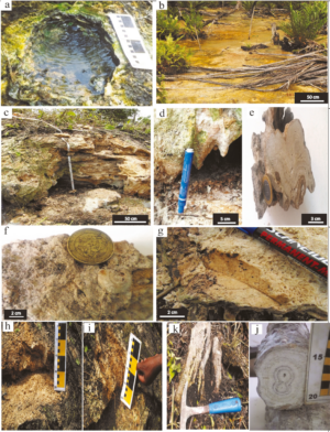 Etude sédimentologique et géochimique des travertins de Bongongo et de Ngol localisés sur la Ligne Volcanique du Cameroun