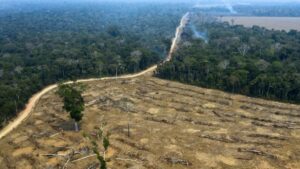 Brésil : La forêt amazonienne émettrice nette de carbone entre 2010 et 2019