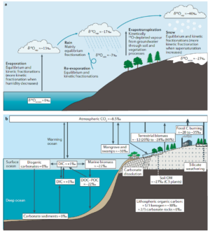A stable isotope toolbox for water and inorganic carbon cycle studies