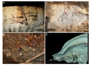 La grotte Nerja (Andalousie) 35 000 ans d’occupation mis en évidence par la datation de charbons de bois et de niveaux de suie piégés dans des spéléothèmes.