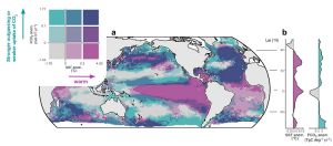 Atlantique Nord, 2023. Une vague de chaleur marine à l’origine d’un puits de CO2 océanique anormalement faible