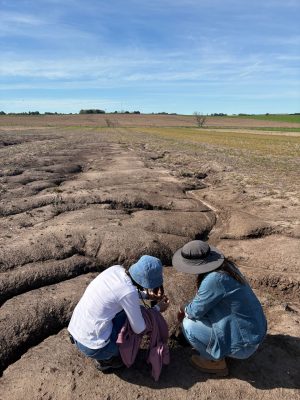 L’expansion agricole dans la Pampa uruguayenne et ses impacts retracés sur huit décennies