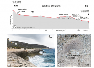 Quaternary uplift on the southeastern coast of Cuba