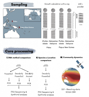 Coral Skeletal Cores as Windows Into Past Symbiodiniaceae Community Dynamics