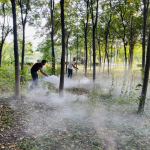 Élimination du dioxyde de carbone par l’altération accélérée des roches : quel est le rôle du carbone organique ?