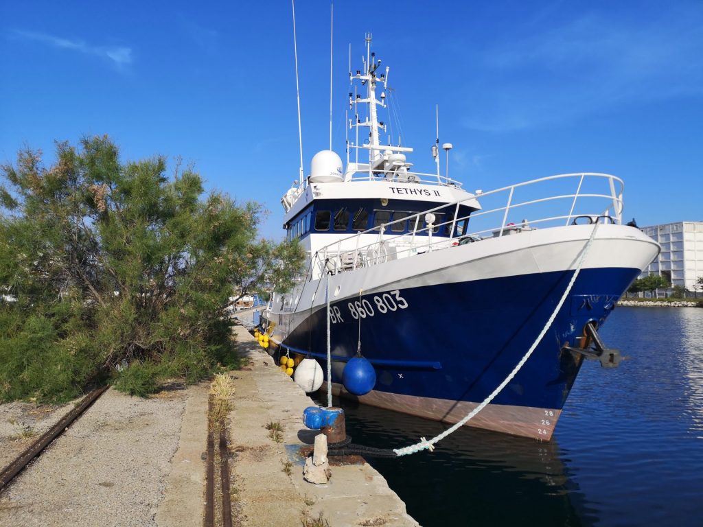 Elucidating the Role of Marine Benthic Carbon in a Changing World