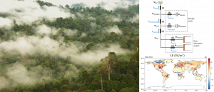 Nouveau modèle de transport d’eau dans la végétation implémenté dans ORCHIDEE trunk