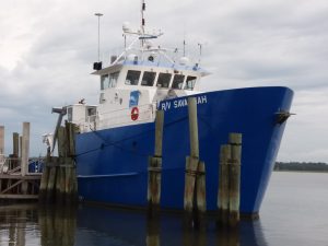 Dynamique benthique des carbonates et acidification dans deux deltas contrastés : cas du Rhône et du Mississippi