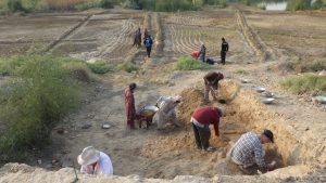 Première campagne de terrain au Pakistan pour le projet AGROCHRONO avec la MAFBI