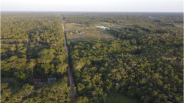 Les petites zones de déforestation des forêts humides tropicales pèsent lourd dans le bilan carbone