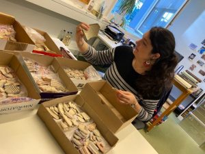 Le lait des chèvres et des brebis étaient exploités dès le 7ème millénaire BC sur le Plateau Iranien