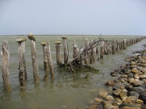 Comprendre les côtes, ouvrir les données, préparer l’avenir.