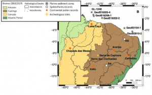 Article : Comprendre la présence des premiers humains dans le nord-est du Brésil : synthèse des reconstitutions paléoenvironnementales