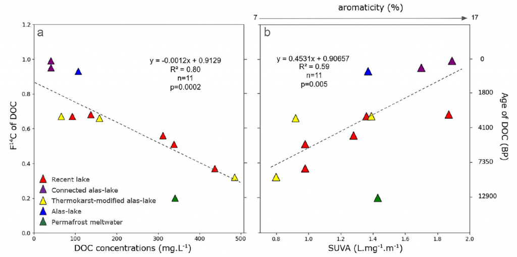 Massive concentrations of old dissolved organic carbon from Yedoma thaw in lakes in Siberia
