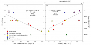 Concentrations massives de carbone organique dissous ancien issus du dégel du Yedoma dans les lacs de Sibérie