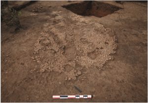 Article: Résultats préliminaires de la campagne 2023 sur le site de Kpeta 2 (Bénin)