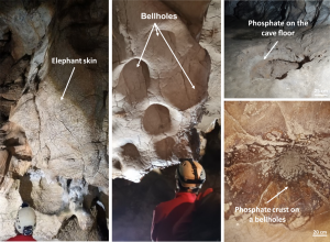 Observer les impacts minéralogiques et chimiques des phases d’occupation des chauves-souris dans les spéléothèmes : grotte de la Roquette (Gard, France)