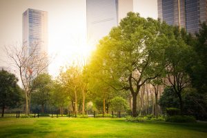 Trois idées reçues sur la végétalisation urbaine